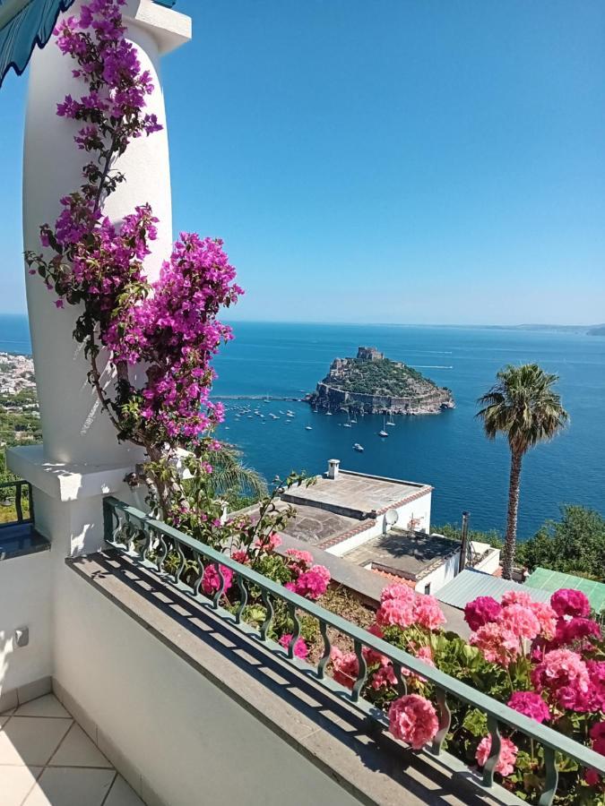 La Pergola Del Torchio Bed & Breakfast Ischia Luaran gambar