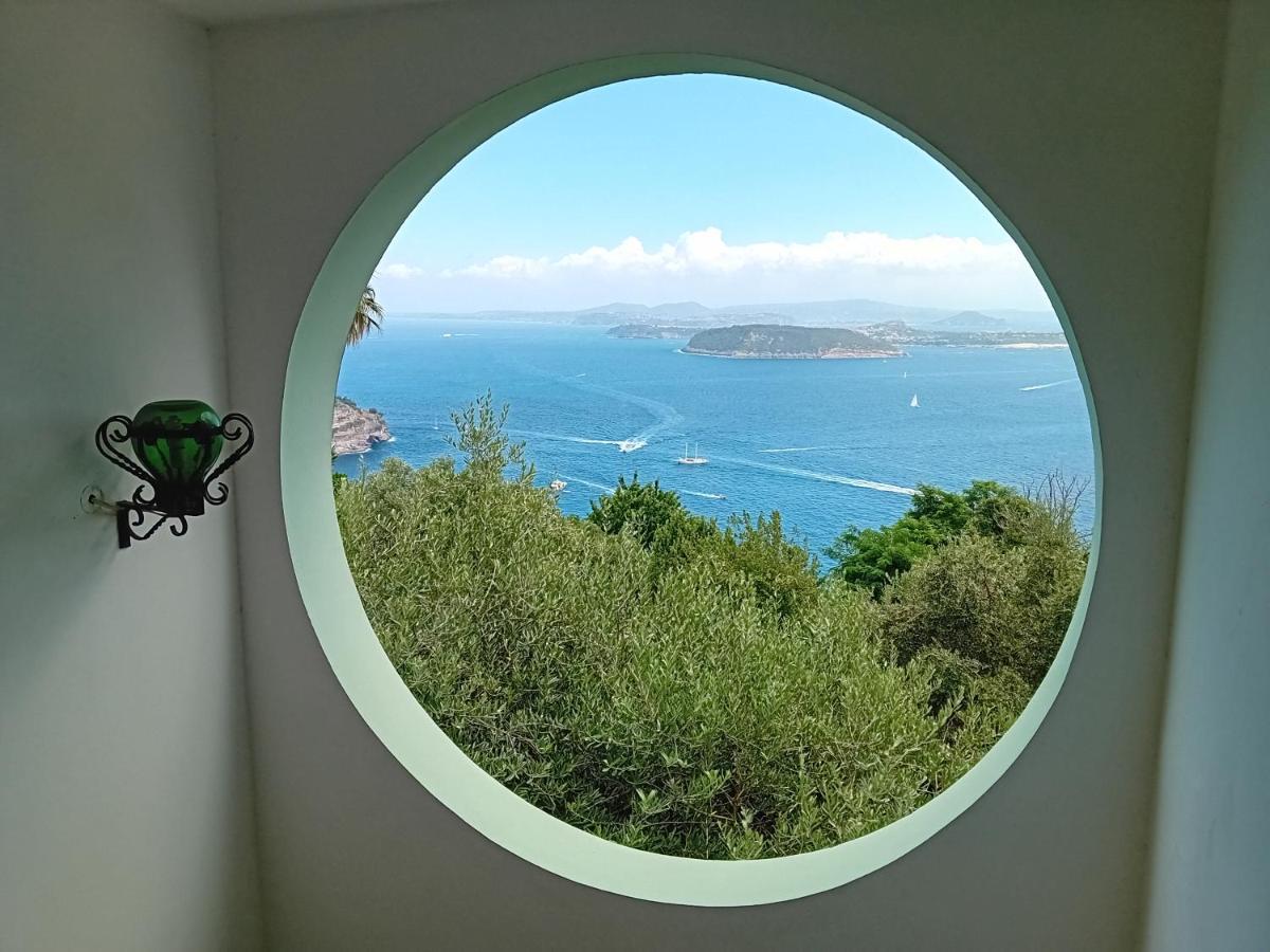 La Pergola Del Torchio Bed & Breakfast Ischia Luaran gambar